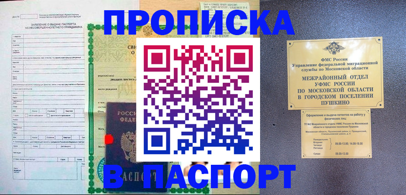 временная регистрация госуслуги в Черноголовке